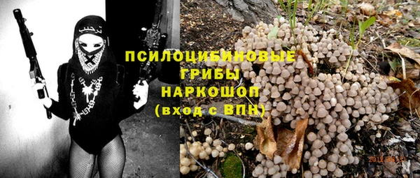 круглые Аркадак