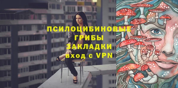 твердый Армянск