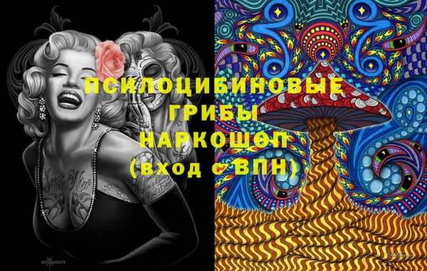 мдпв Арсеньев