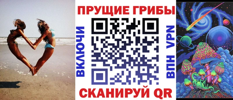Галлюциногенные грибы Magic Shrooms  сколько стоит  Ростов 